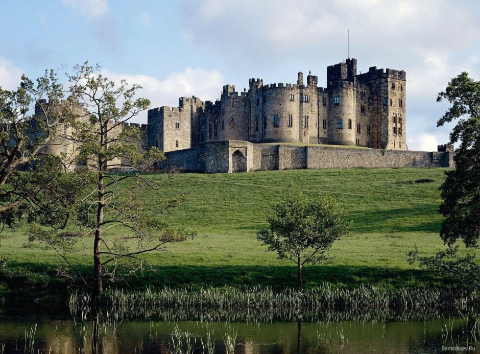 Вампир замка Алник (Alnwick Castle Vampire)