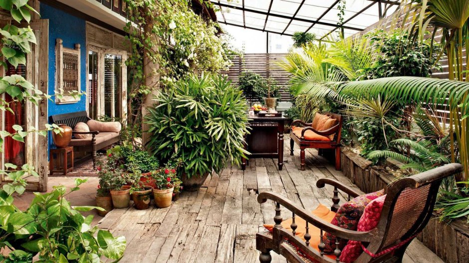 Тропический сад на балконе