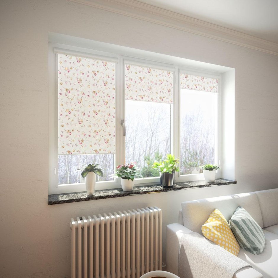 French Windows