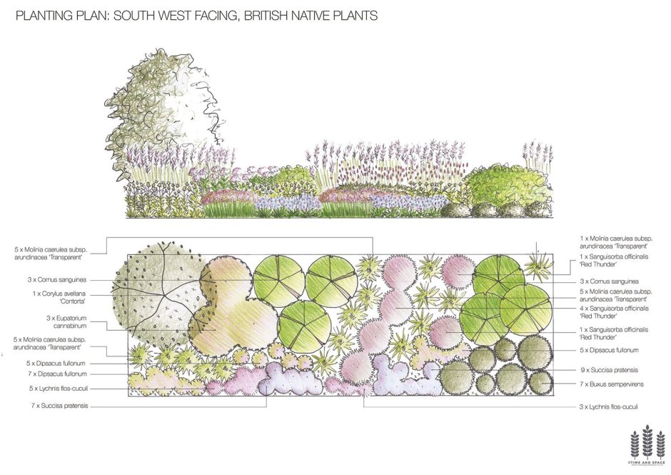 Схема матричной посадки растений