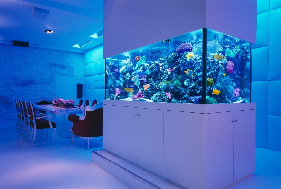 Aquaworld / аквариум