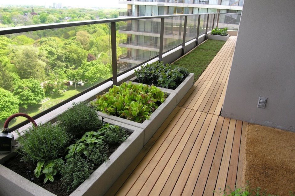 Огород на балконе гидропоника