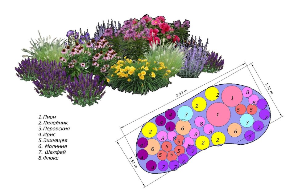 Миксбордер непрерывного цветения многолетников