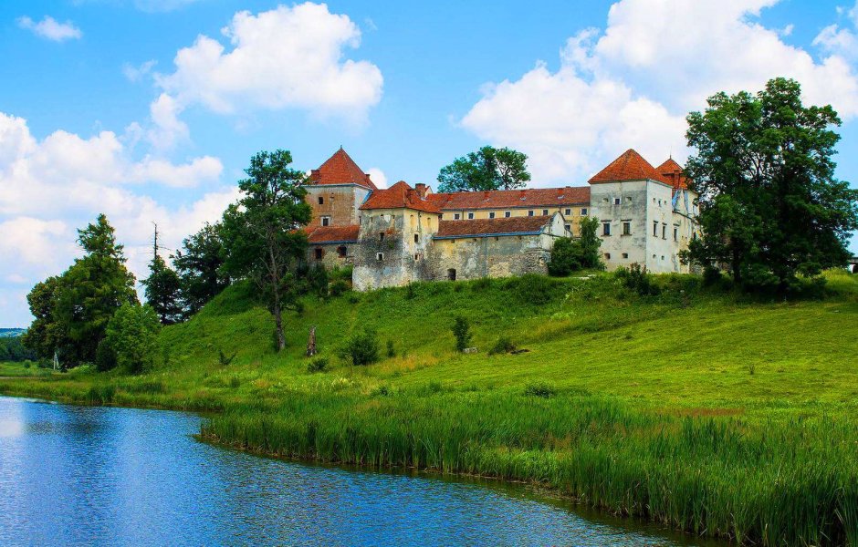 Свиржский замок Львовская область