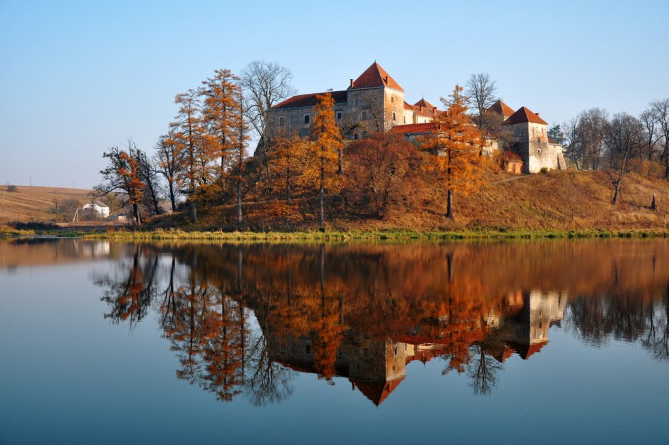 Свиржский замок Львов