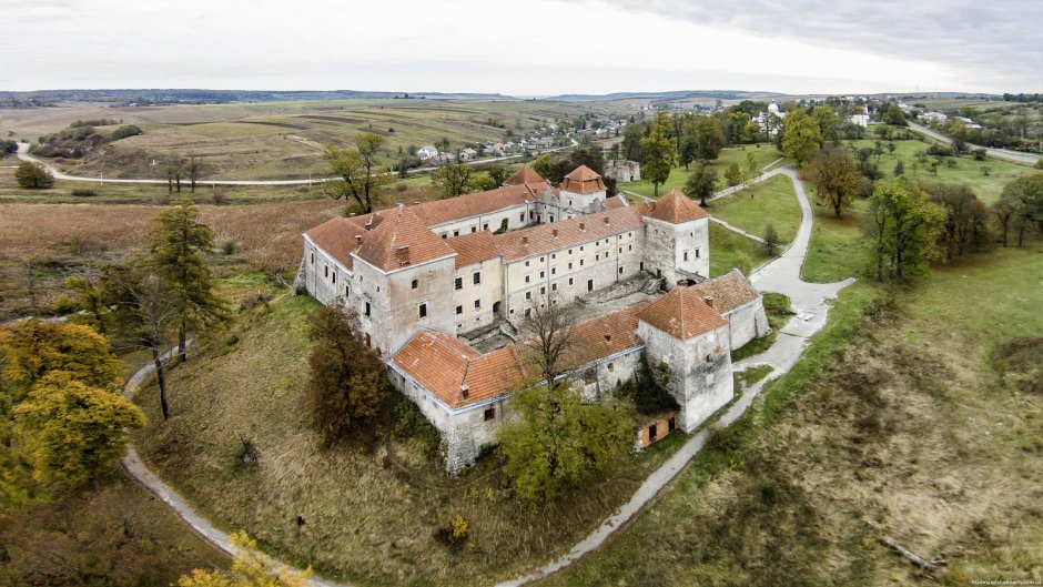 Свиржский замок Львовская область
