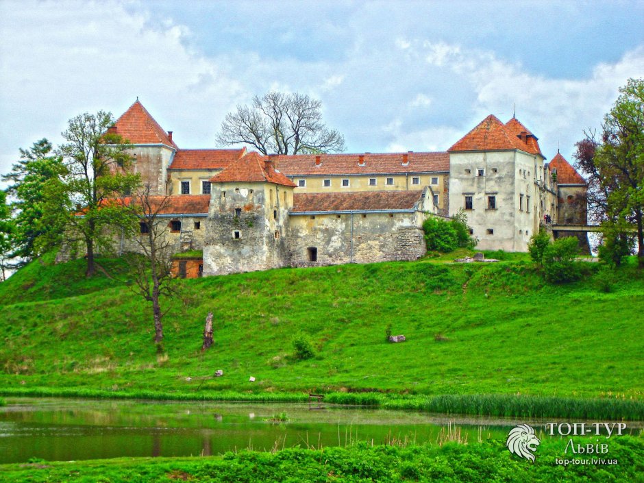 Свиржский замок Львов