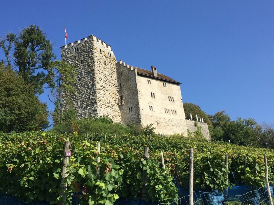Замок Габсбург Швейцария внутри