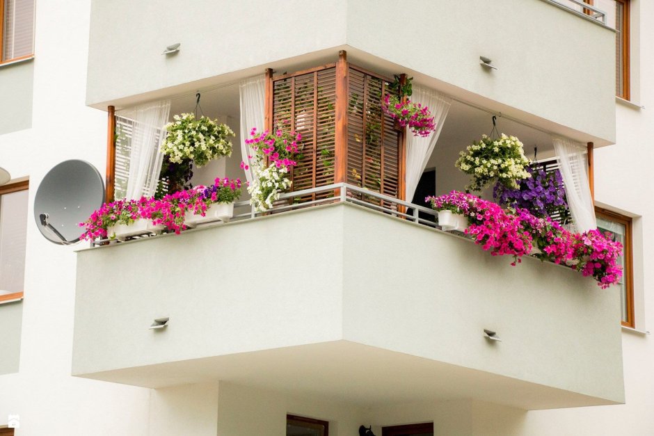 Цветы в горшках на балконе