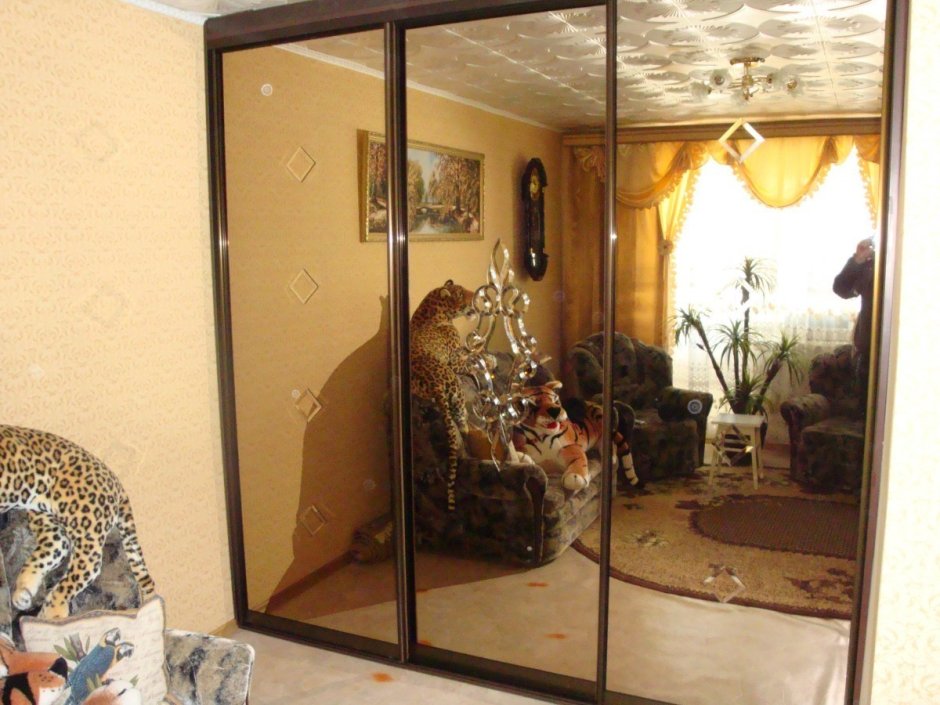 Двери купе с бронзовым зеркалом лазерной гравировкой фото