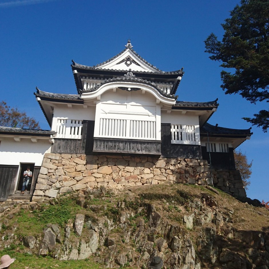 Замок Биттю Мацуяма