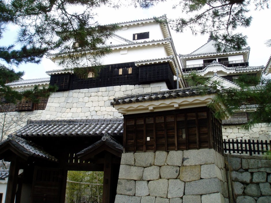 Замок Мацуяма Япония