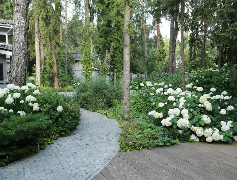 NB-Garden Ландшафтная мастерская Натальи Борисовой