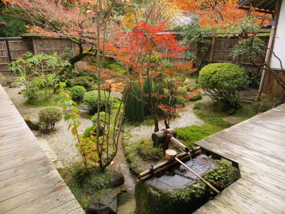 Сад в японском стиле ландшафтный дизайн