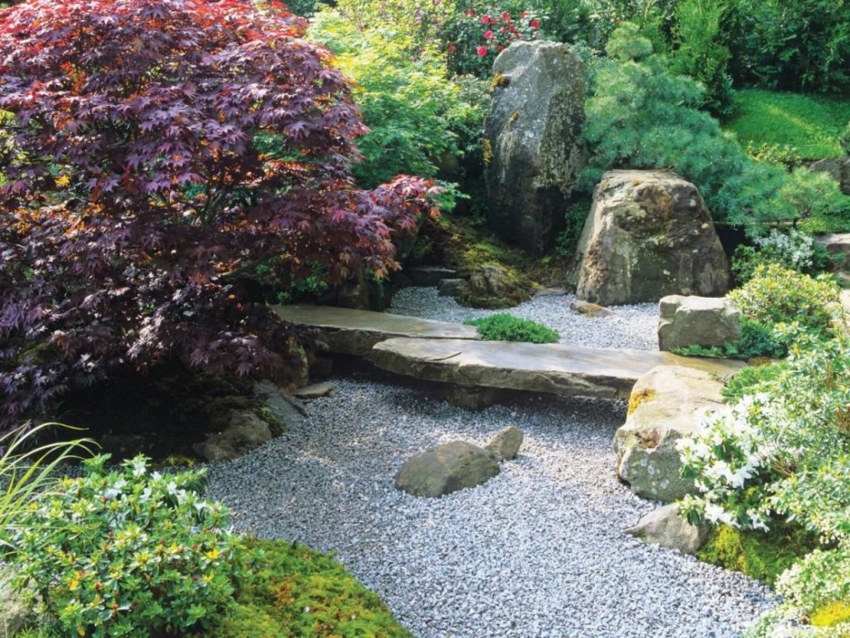 Японский сад ландшафтный дизайн большое пространство