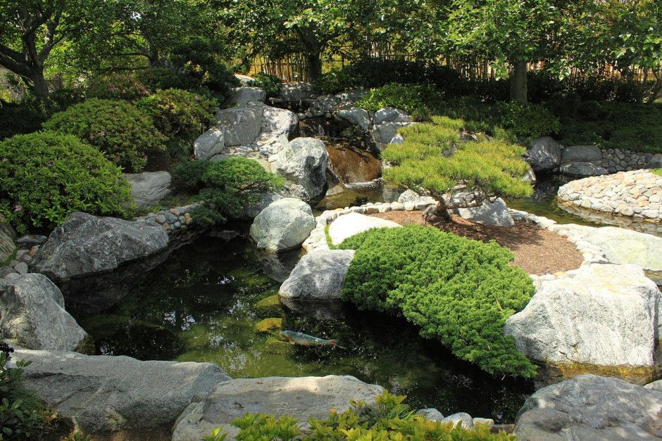 Рокарий в японском саду