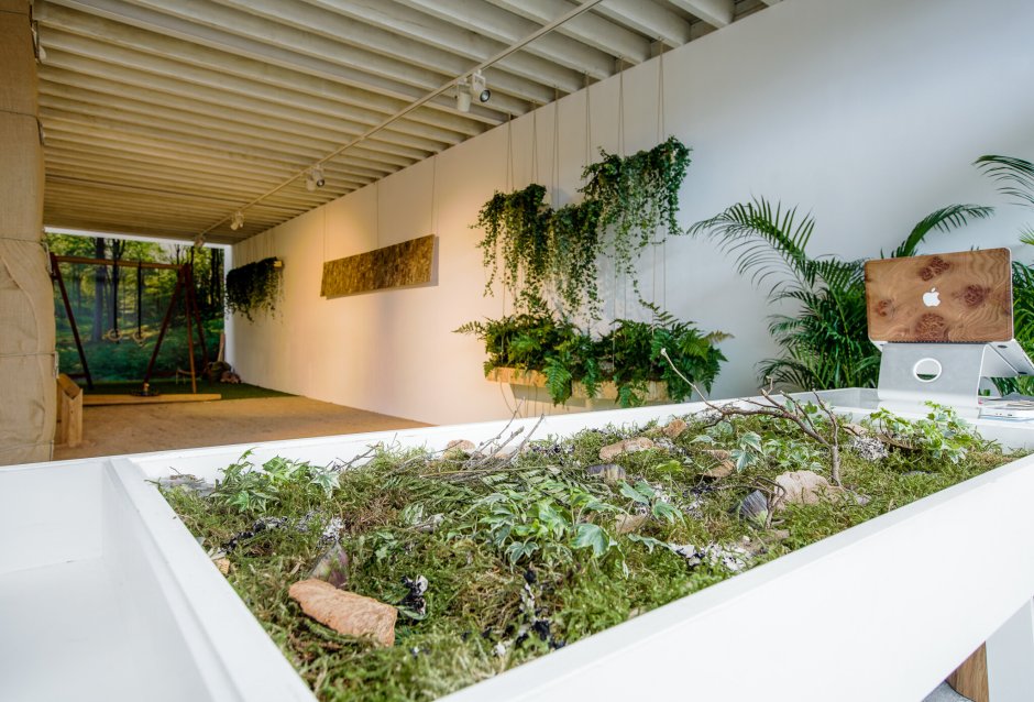 Биофилик (Biophilic) дизайн