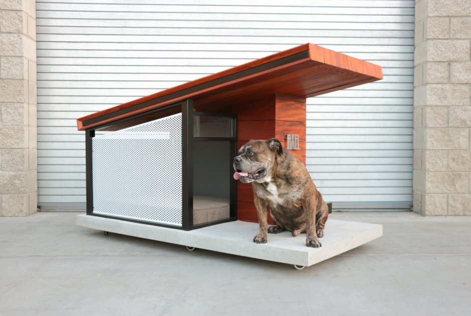 Современные будки для собак