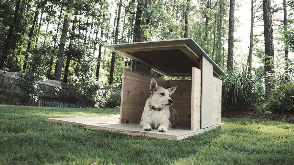 Дизайнерские будки для собак
