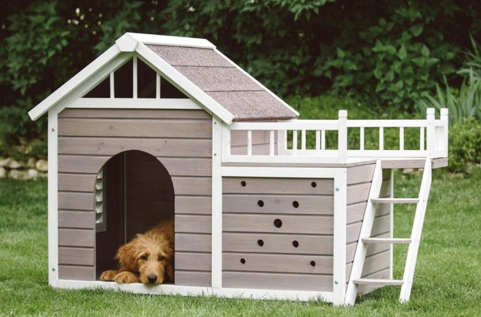 Маленькая будка для собаки