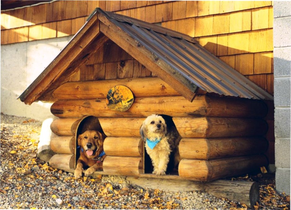 Домик для собаки на даче