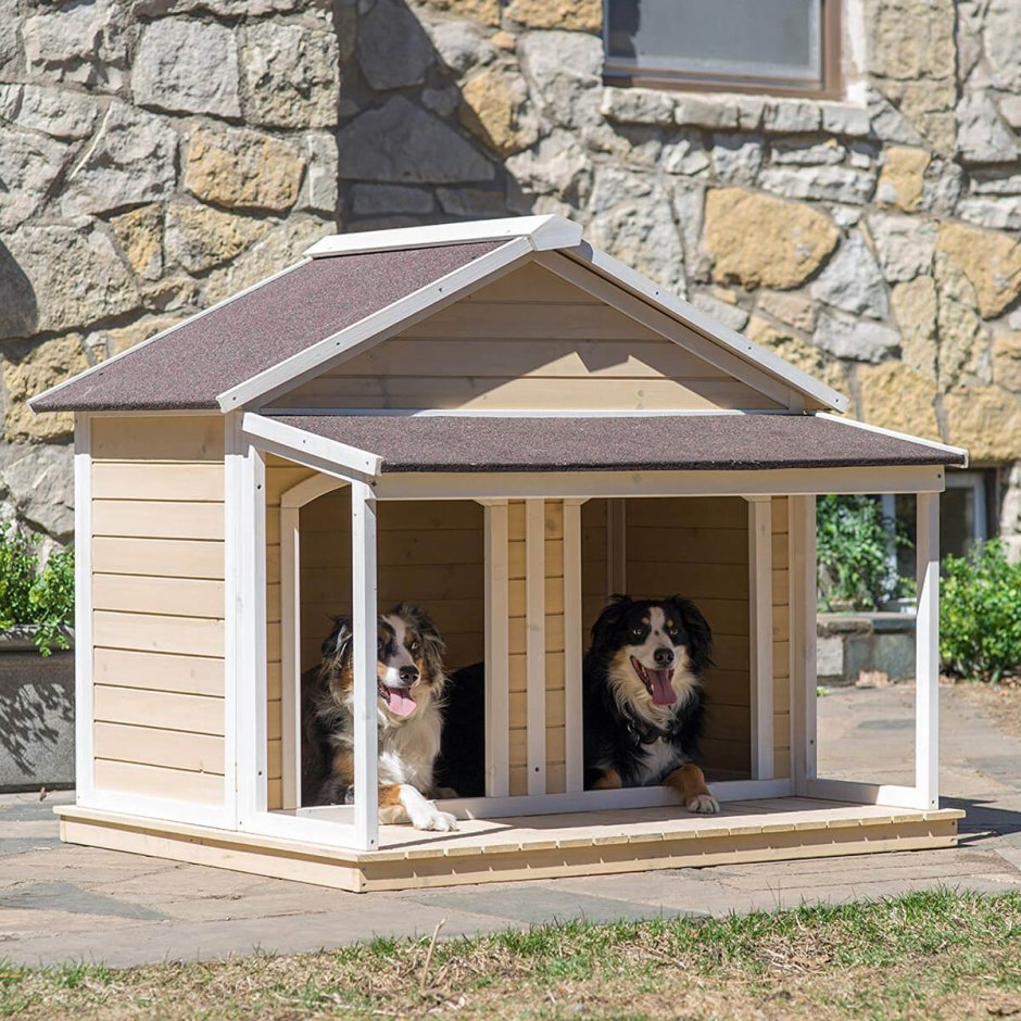 Красивая будка для собаки