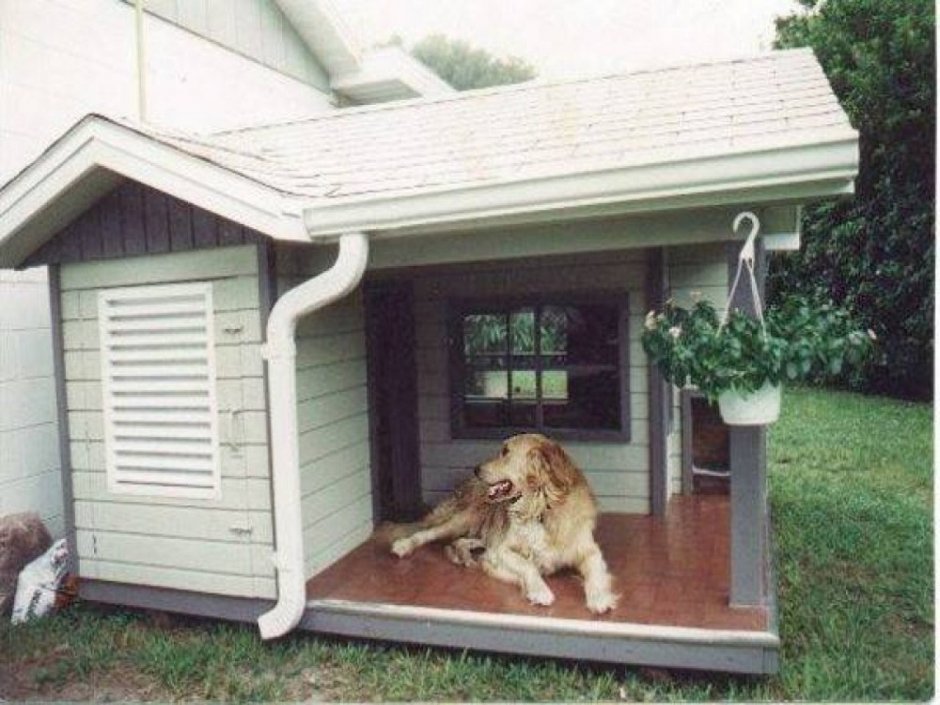 Домик для собаки во дворе