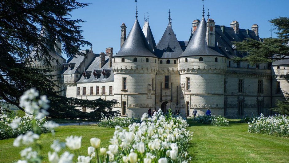Плитка Chateaux Chaumont 30x30