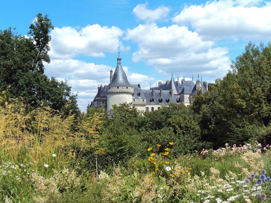 Пуйи-сюр-Луар замок