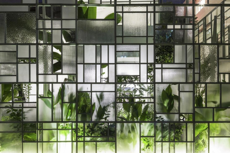 Стеклянная стена с растениями