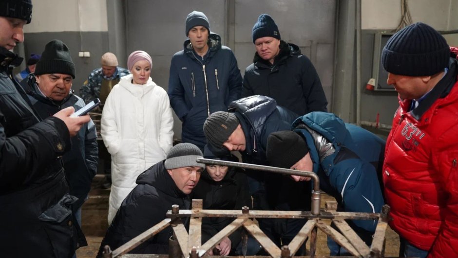 Лефортовский дворец гравюра