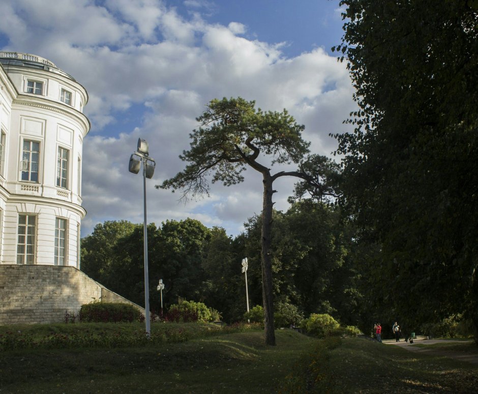 Винтовая лестница дворца графа Бобринского Богородицк