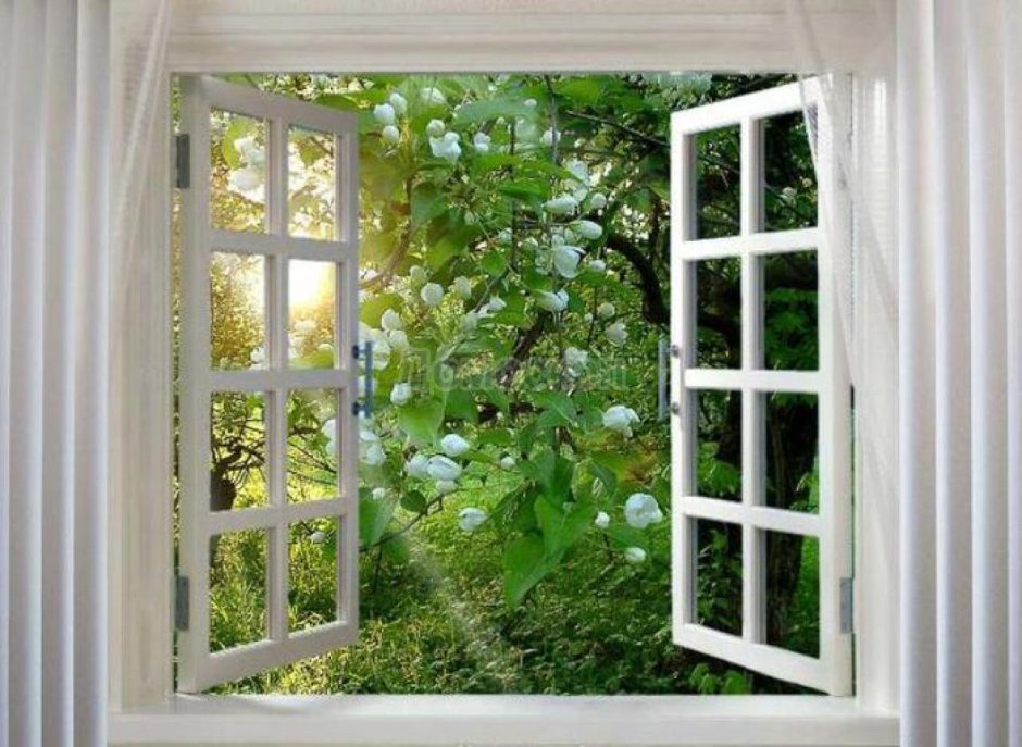 "Домик окнами в сад"