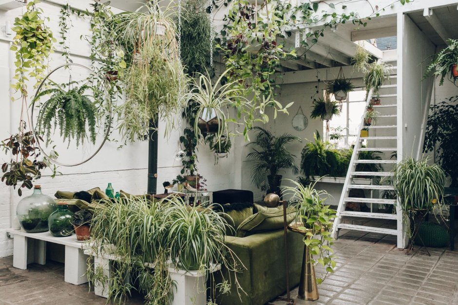 Green Sky фитостены