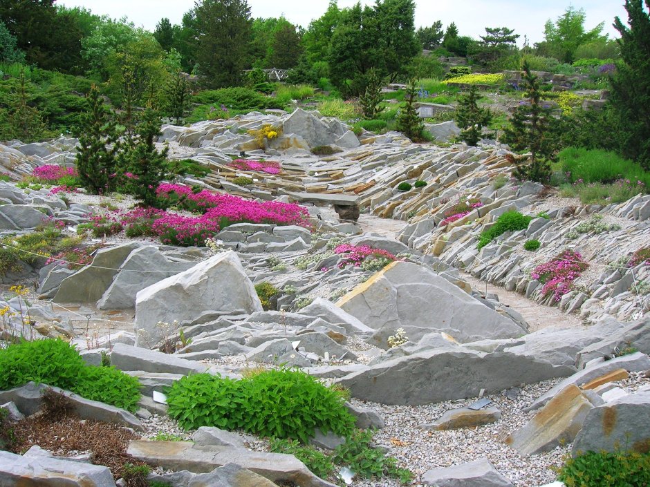 Рокарий сад камней в Парадиз