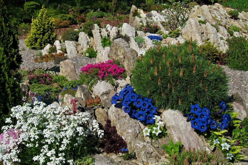 Рокарий Каменистый сад