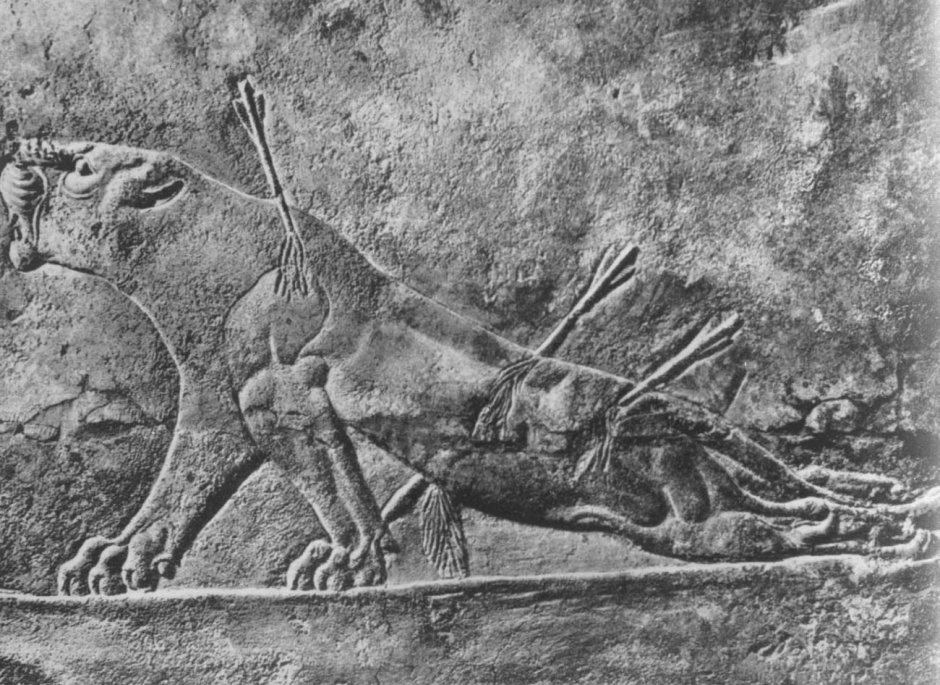 Царь Ашшурбанипал на охоте рельеф из дворца в Ниневии
