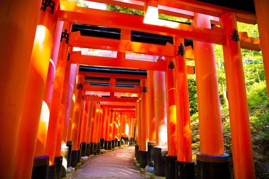 Синтоистский храм в Японии Тори