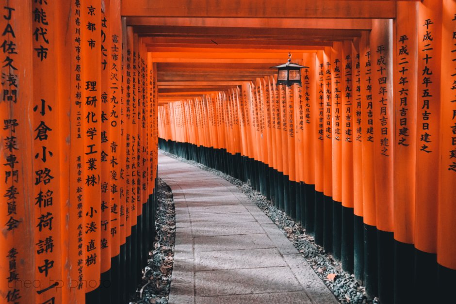 Ворота храма Фусими Инари