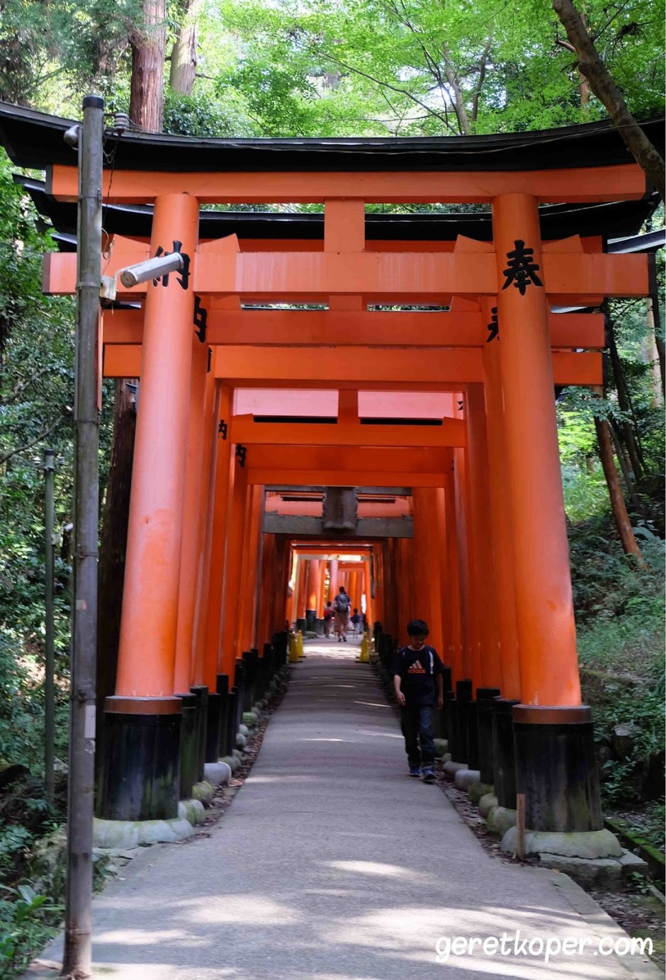 Ворота тории в Японии