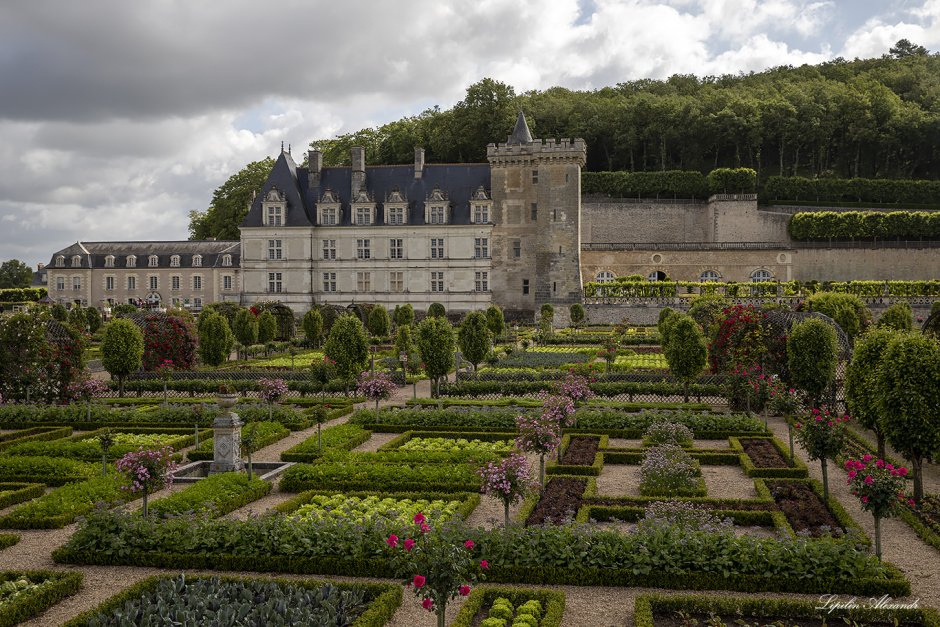 Сад у замка Вилландри (Франция)