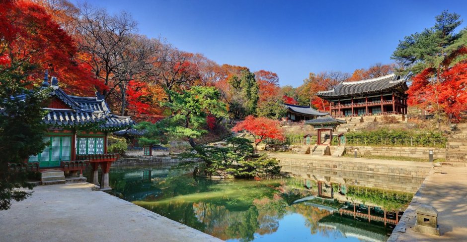 Осень в Южной Корее