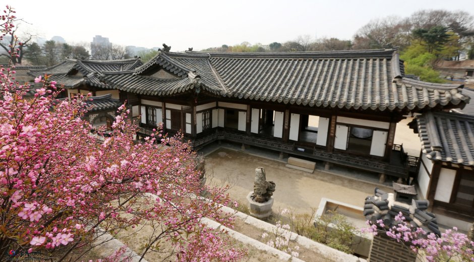 Тайный сад в Корее во Дворце