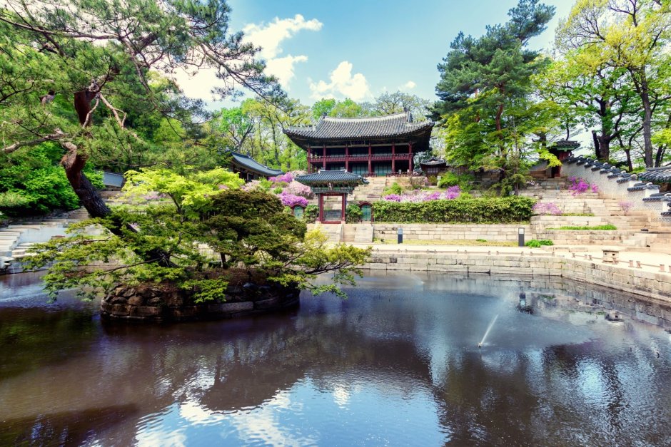 Корея дворец Чхандоккун