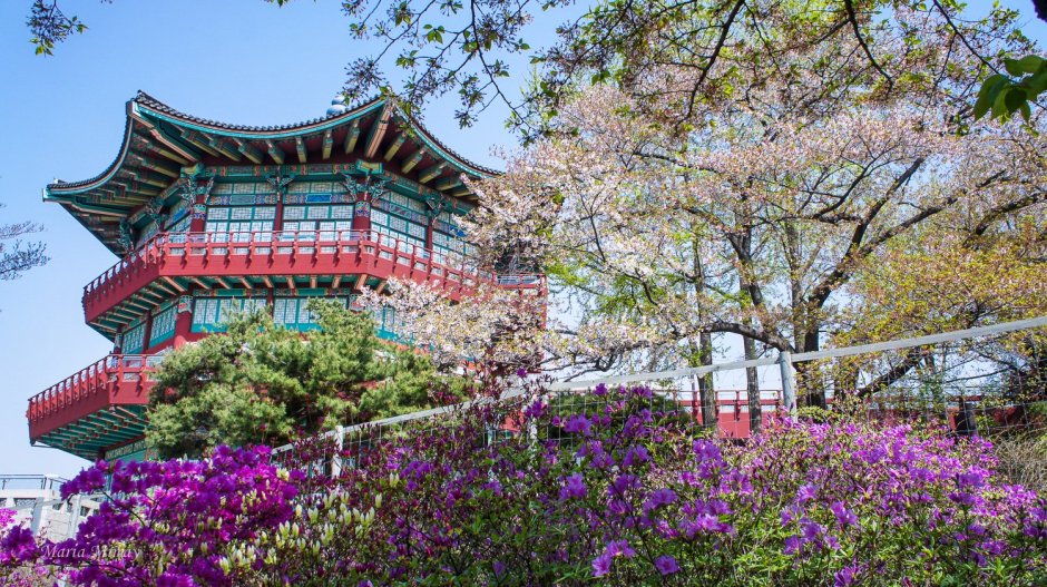 Южная Корея дворец кёнбоккун в Сеуле вектор