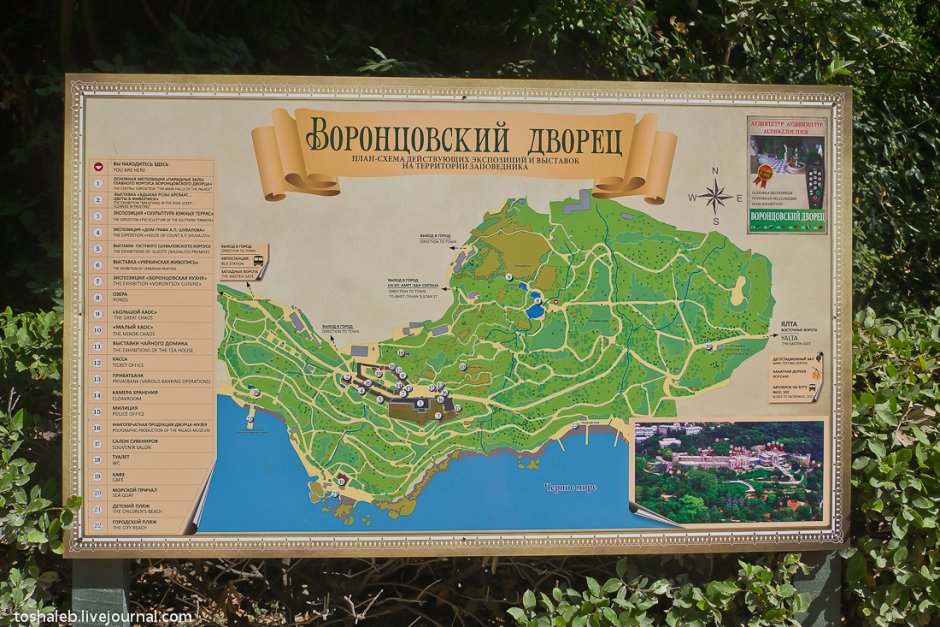 Крым Ялта санаторий Дюльбер