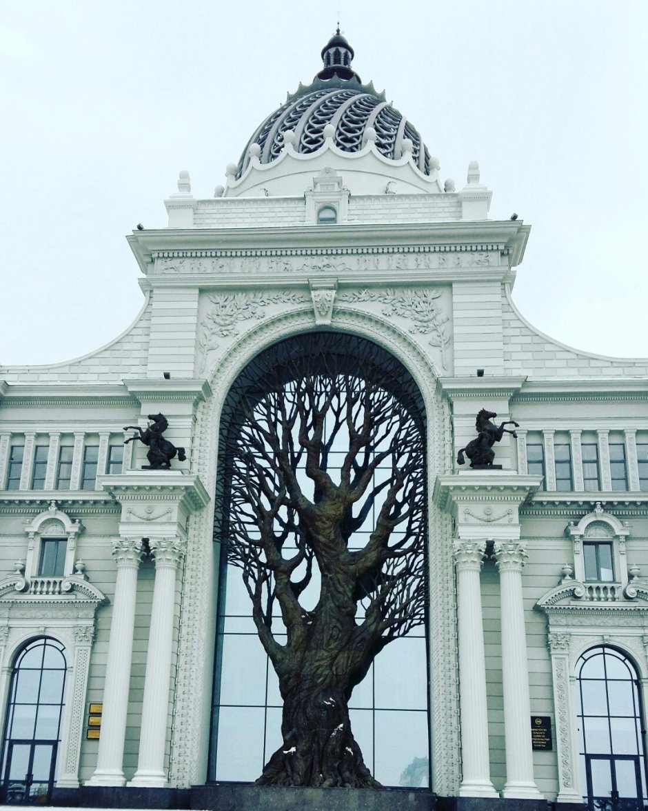 Казань дерево во Дворце земледельцев