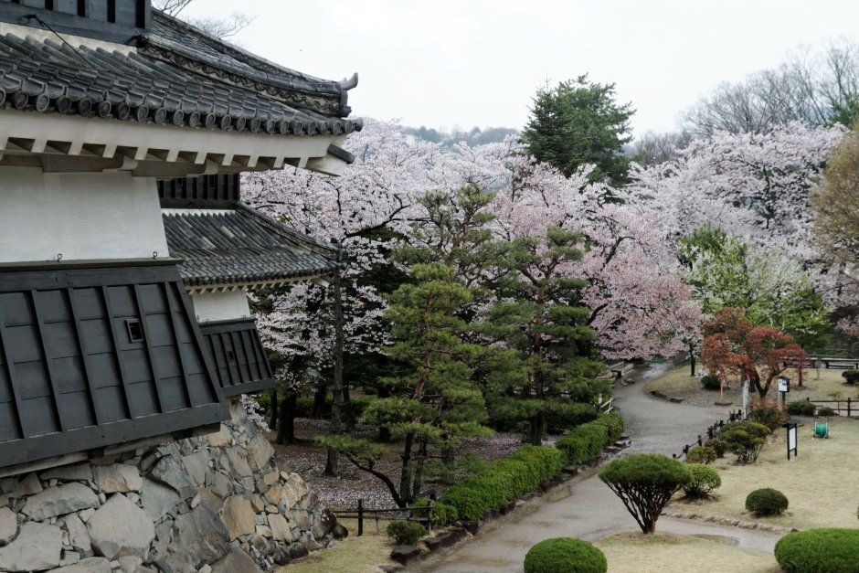 Замок Мацумото внутри Япония