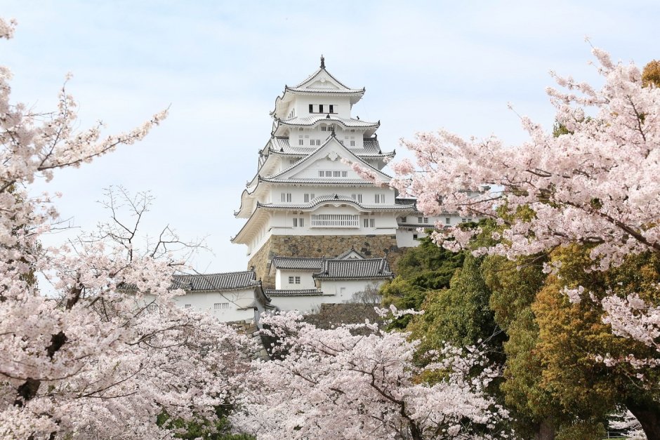 Храм белой цапля Япония
