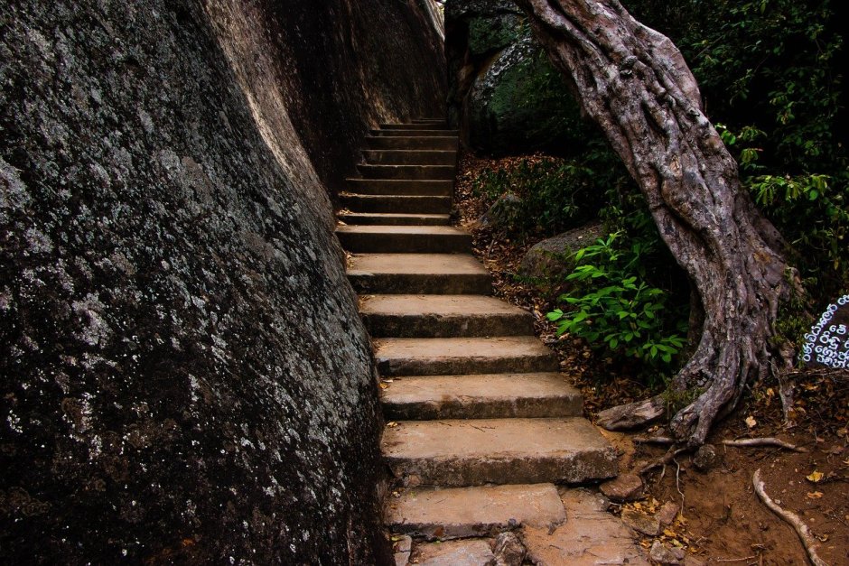 Каменная лестница арк